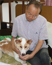急性リンパ性白血病のJCDL看板犬ウ