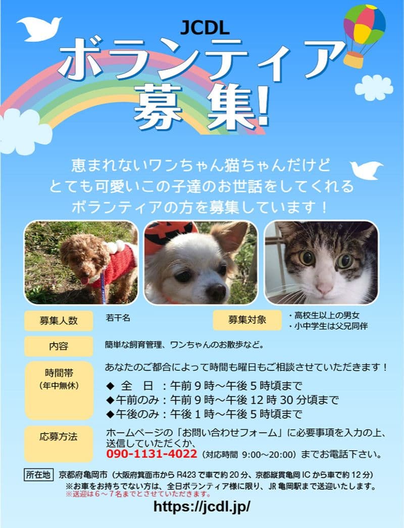 動物愛護市民団体jcdlの公式サイト