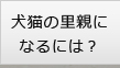 犬猫の里親になるには