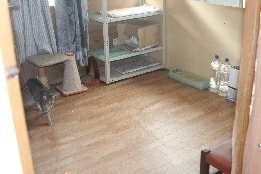 ネコちゃんの終身お預かりシステム